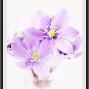 CHB-020 – Two Blooms, One Heart