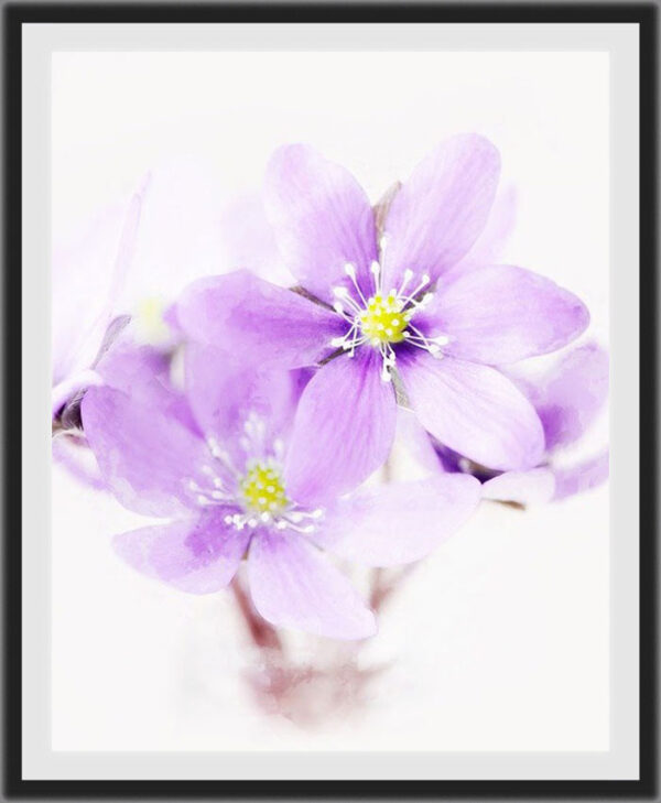 CHB-020 – Two Blooms, One Heart